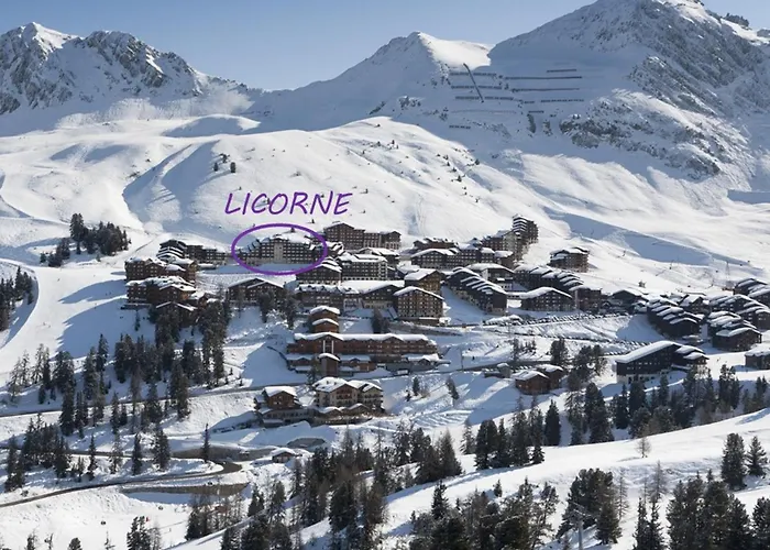 Pour 6 Aux Pieds Des Pistes à Belle Plagne - Fr-1-455-145 *